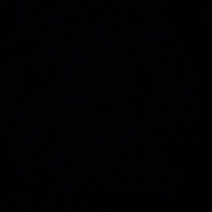 Meet your Posher, Logan